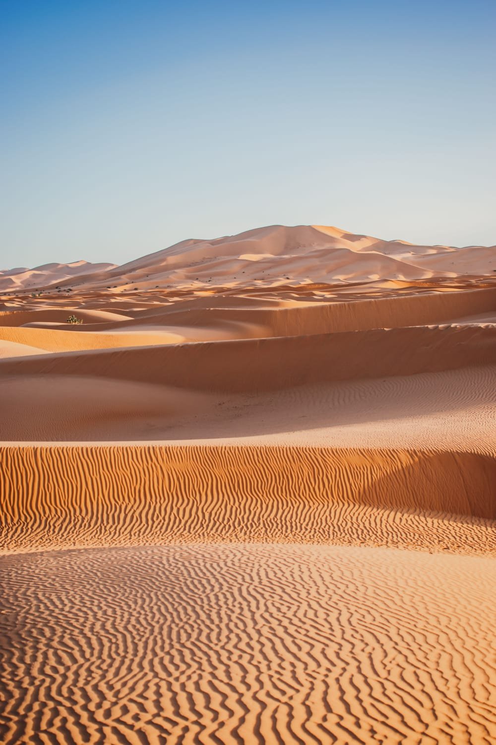 Merzouga Sahara desert tour