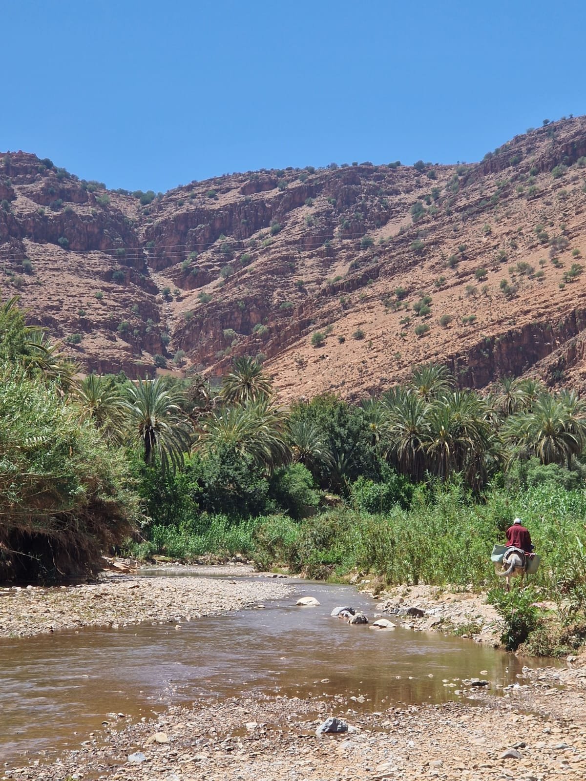 Morocco Desert