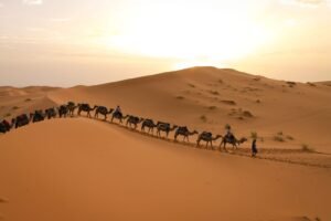 Morocco Desert Tour