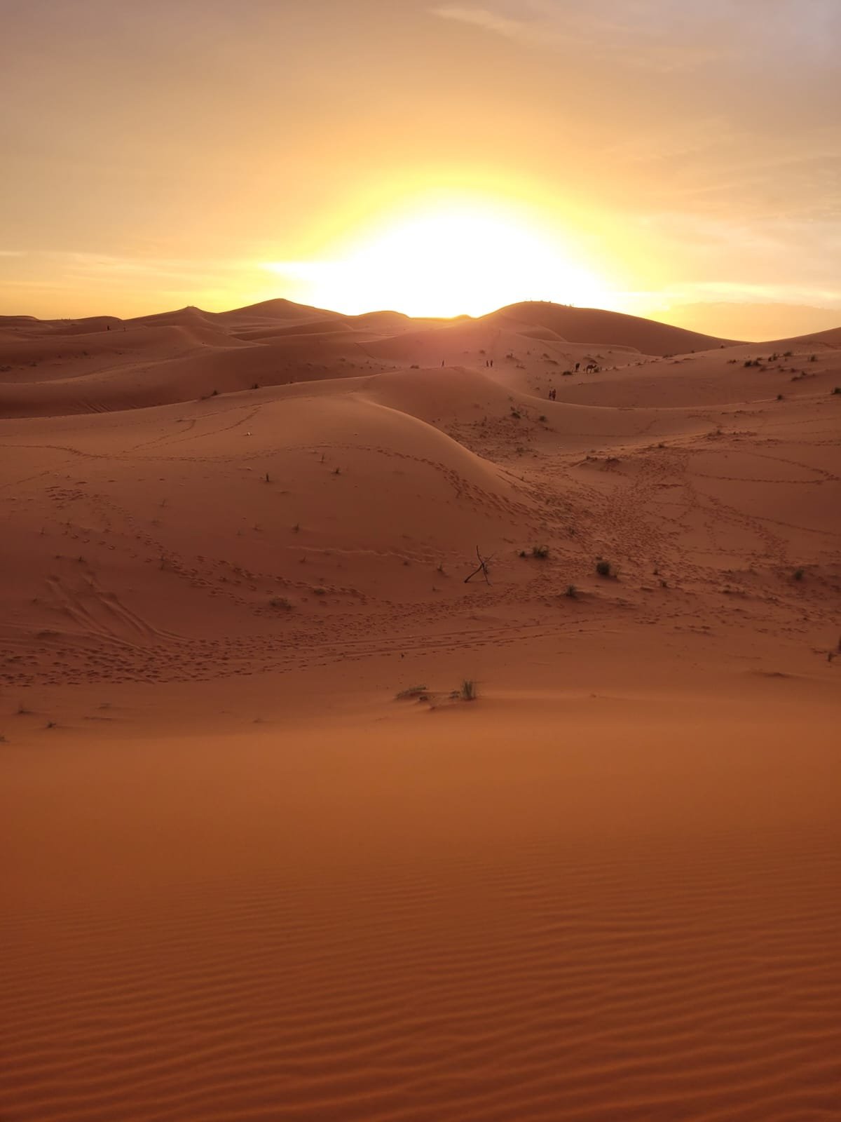 Sahara Desert Tour