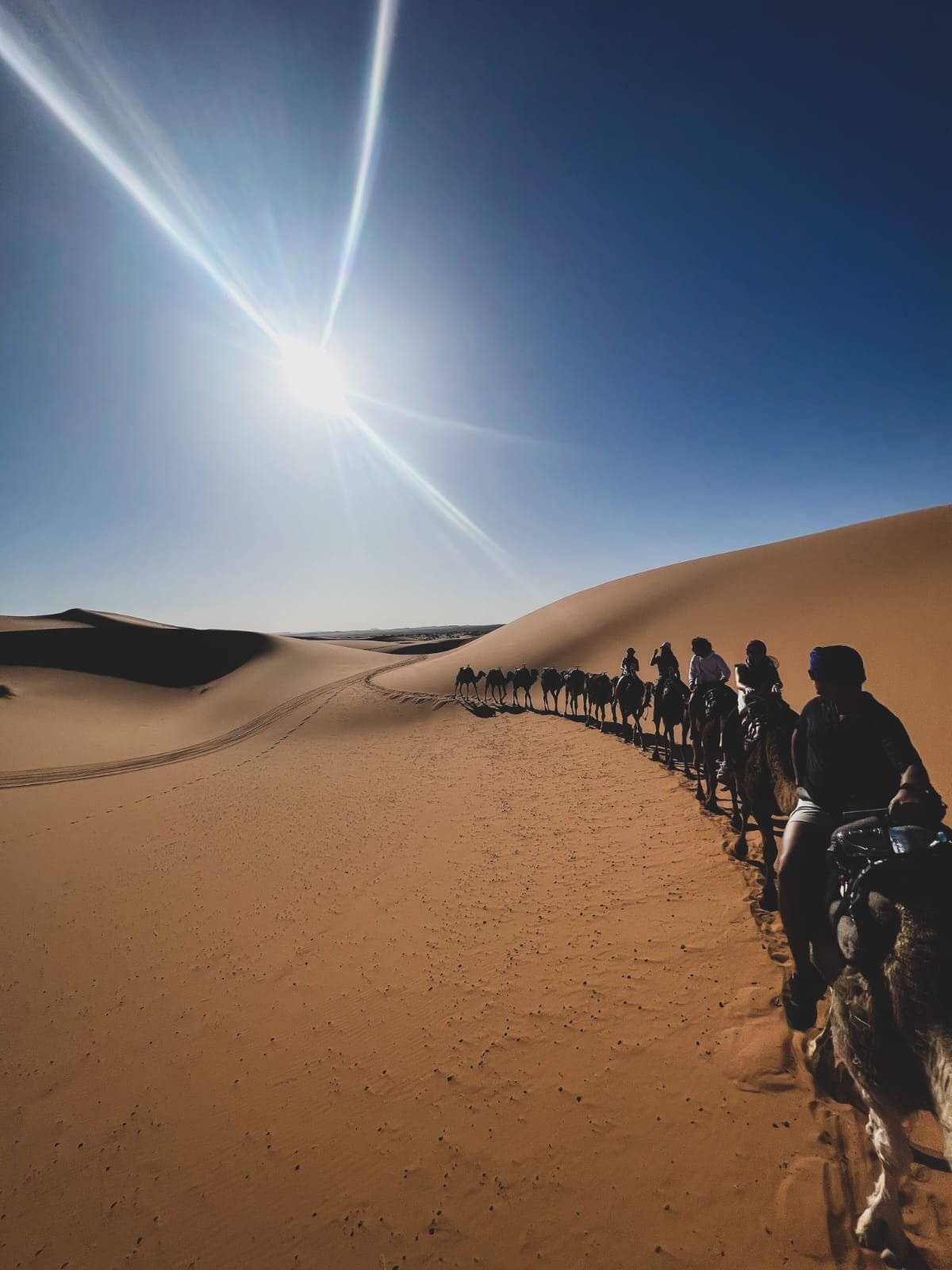Meknes Merzouga Camel Trek
