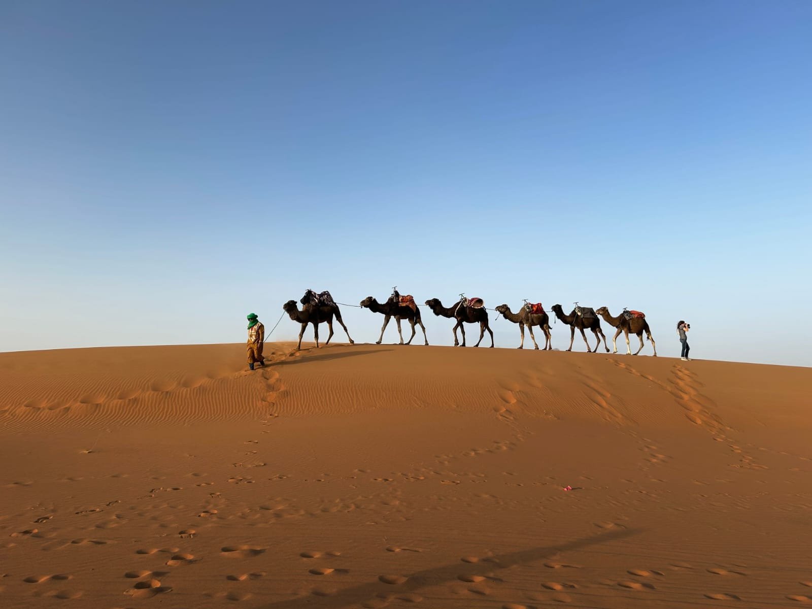 Private Meknes Desert Tour