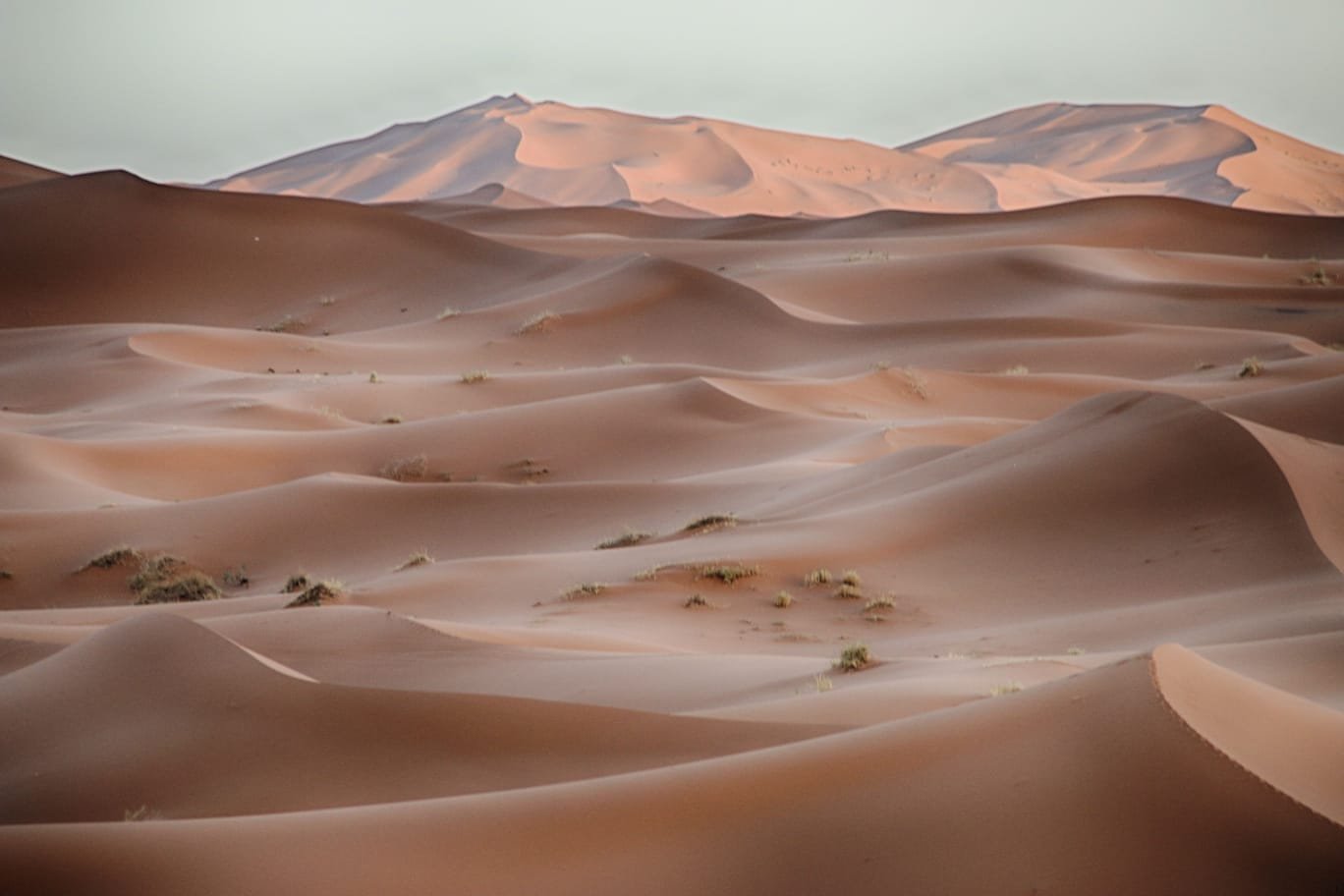 Erg Chebbi desert tour