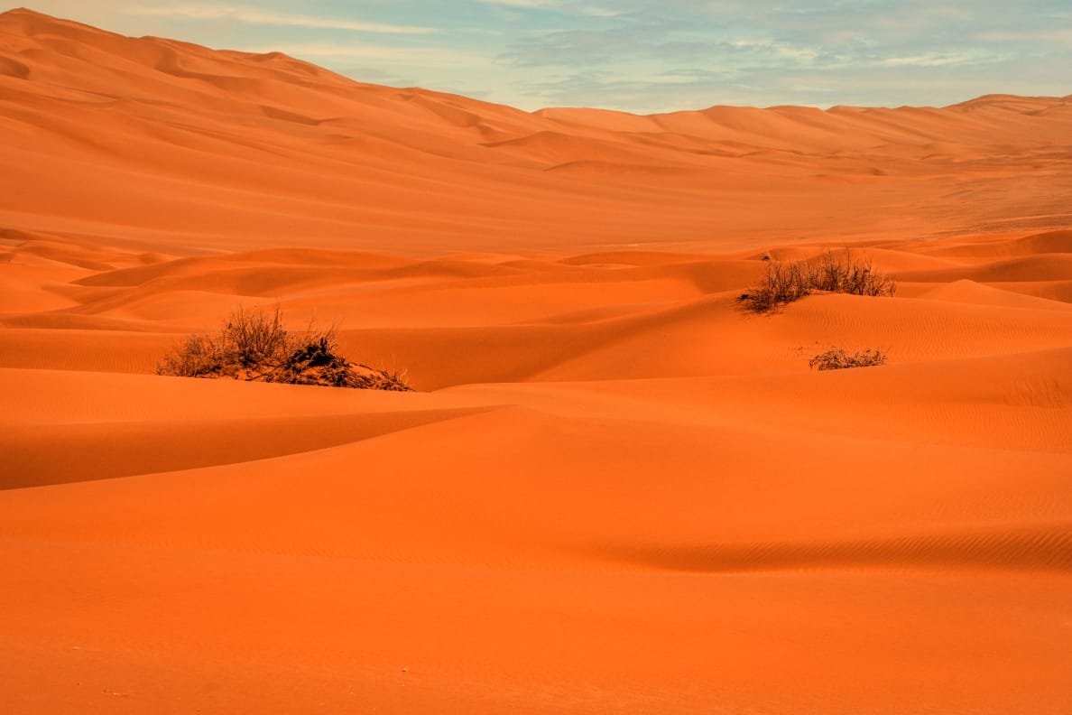 Nomad visit and Erg Chebbi desert from Erfoud