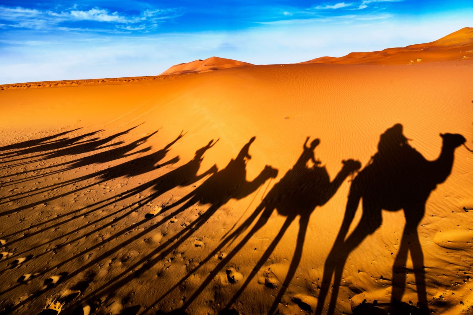 Camel ride in Erg Chebbi desert