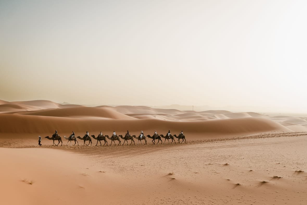 Merzouga desert camel experience
