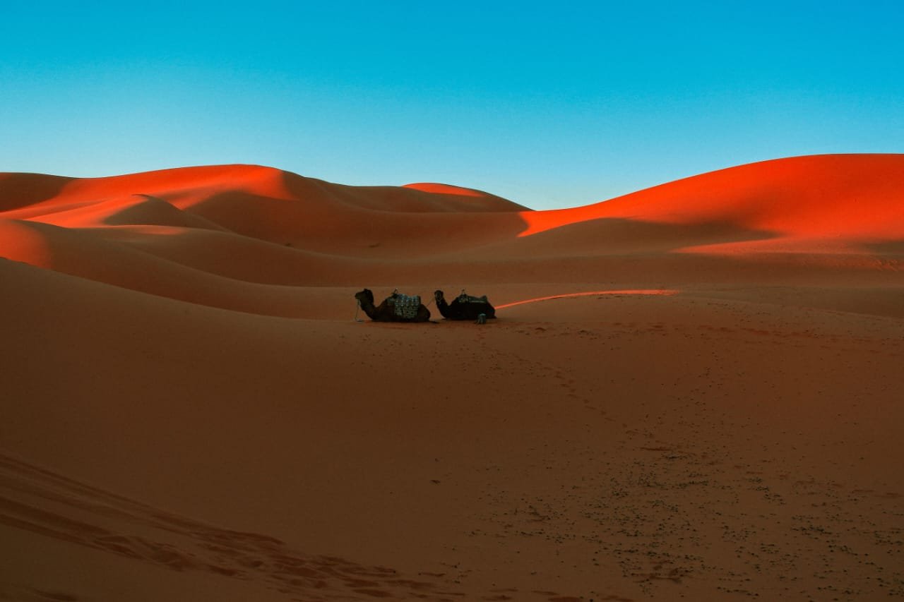 Merzouga Berber desert camp