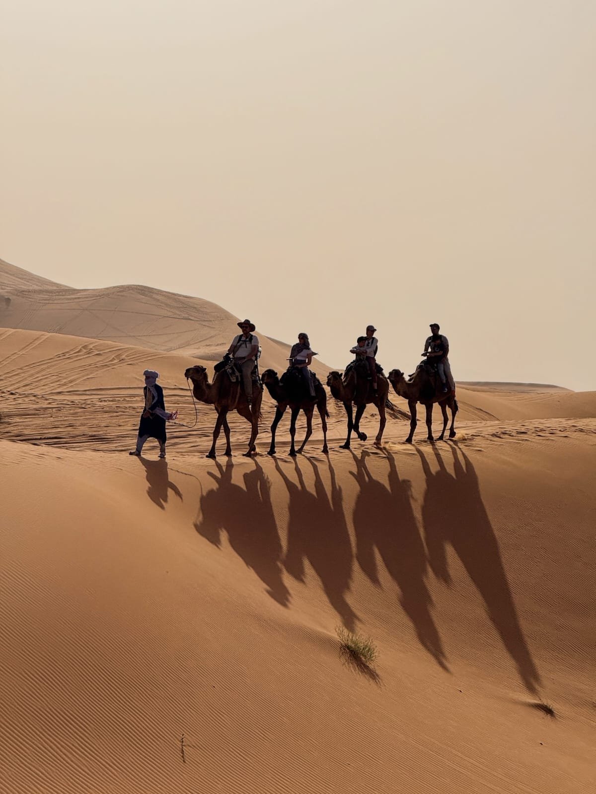 Luxury desert experience in Merzouga