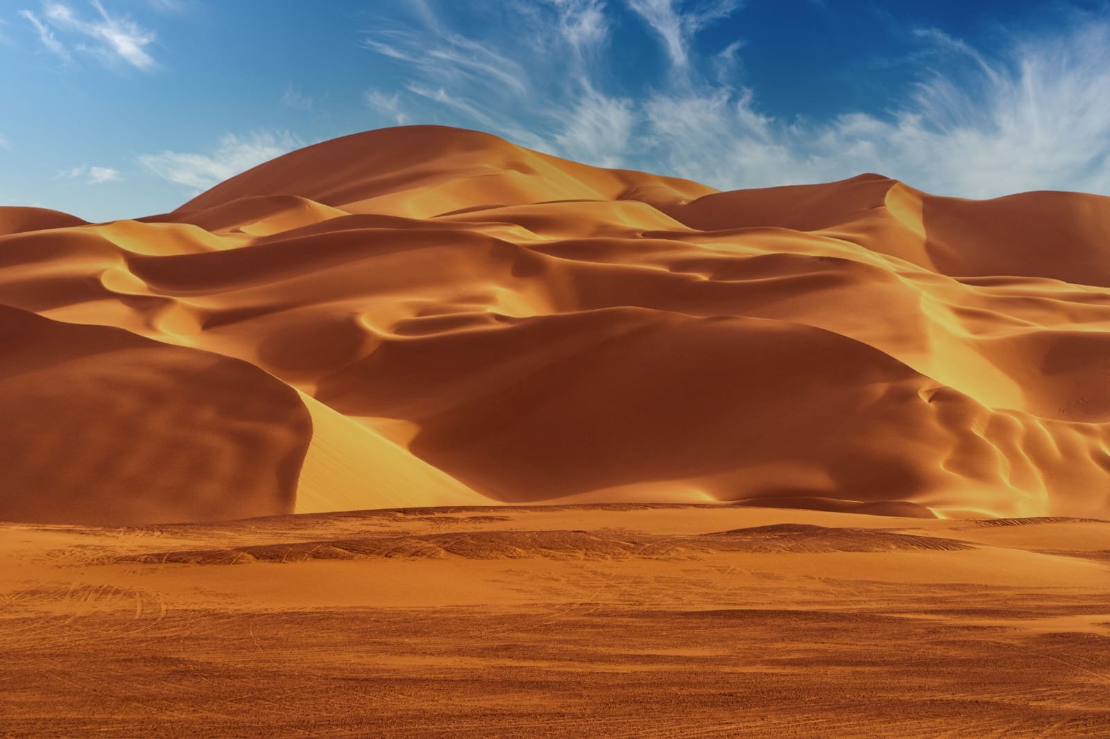 Merzouga desert camel trip