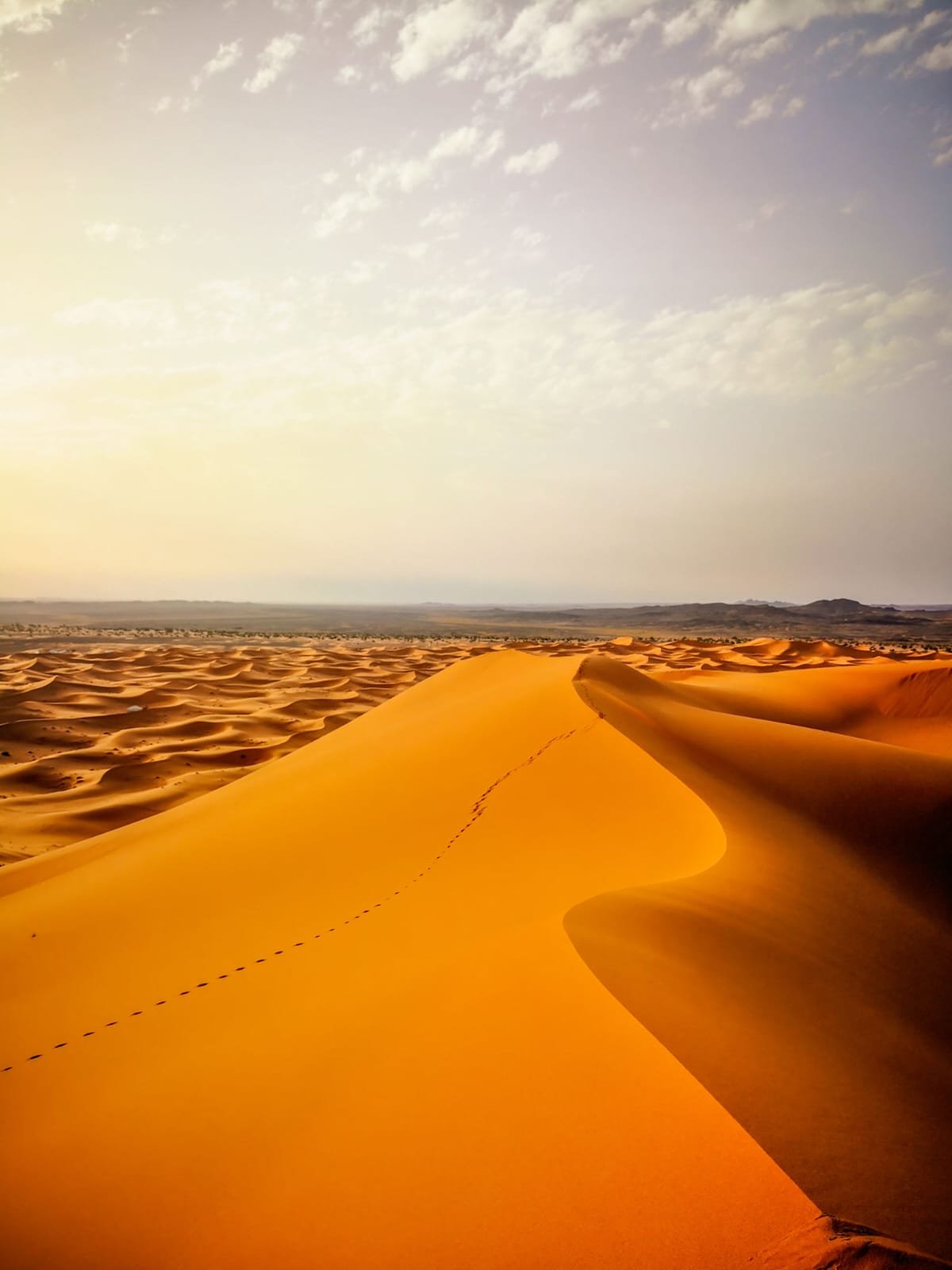 Merzouga Sahara Desert