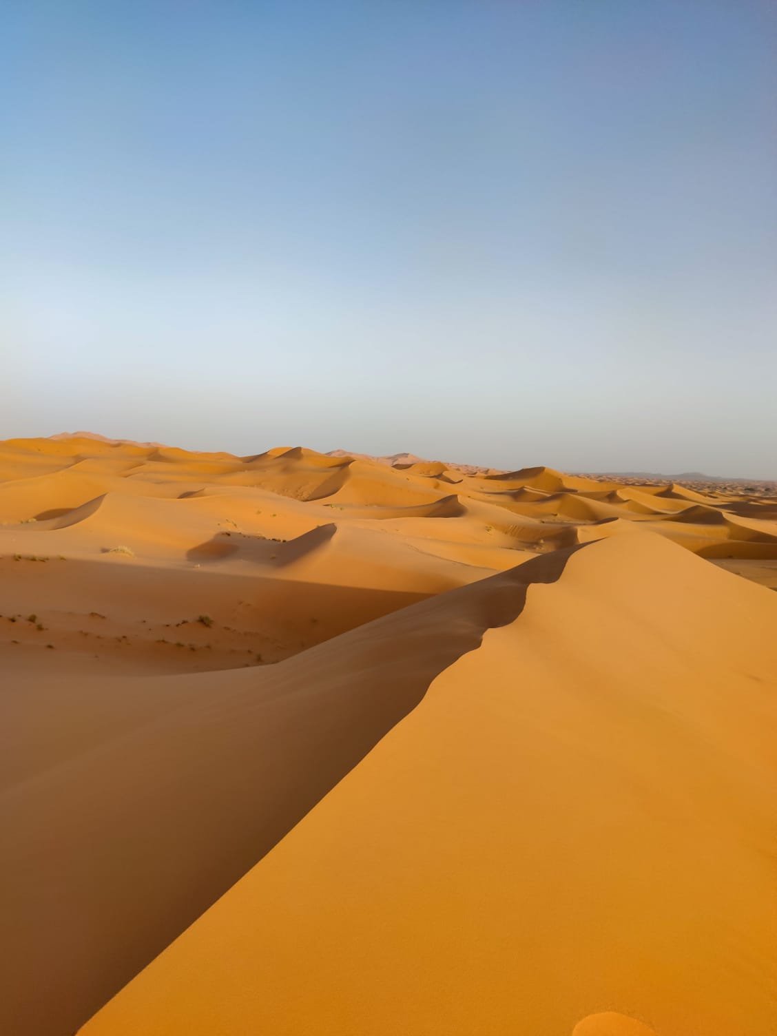 Buggy adventure in Merzouga Desert