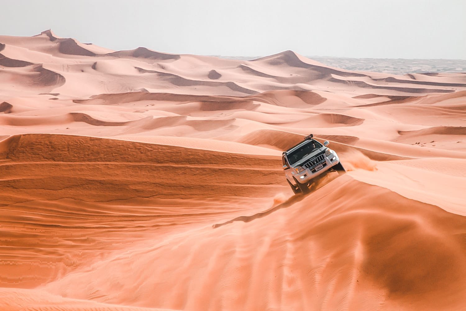 Camel trekking at sunset in Merzouga